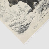 ヴィンテージベアエフエマデクページスクフランスのリプト 薄葉紙 (詳細)