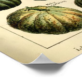 ヴィンテージベジタブルアートバイアドルフミロ ポスター (角)