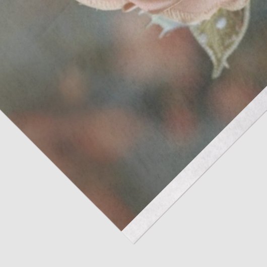 ヴィンテージベビーゲーターのレースドレスデコページ 薄葉紙 (詳細)