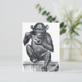 ヴィンテージベビーチンパンジースケッチ ポストカード (スタンド正面)