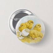 ヴィンテージベビー鶏 缶バッジ (正面&裏面)