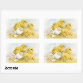 ヴィンテージベビー鶏 長方形シール (シート)