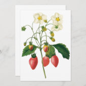 ヴィンテージベリーストロベリーバイルドゥート招待状 (正面/裏面)