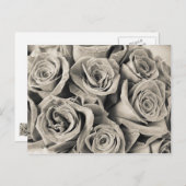 ヴィンテージベルベット美しい ポストカード (正面/裏面)