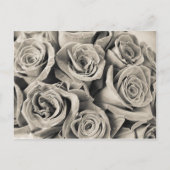 ヴィンテージベルベット美しい ポストカード (正面)