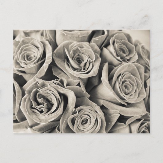 ヴィンテージベルベット美しい ポストカード (正面)