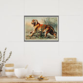 ヴィンテージベンガルタイガーイラストレーションアートオールドアンティーク ポスター (キッチン)