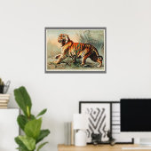 ヴィンテージベンガルタイガーイラストレーションアートオールドアンティーク ポスター (ホームオフィス)