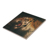 ヴィンテージベンガルタイガー大きな猫轟音、野生動物 タイル (側面)