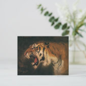 ヴィンテージベンガルタイガー大きな猫轟音、野生動物 ポストカード (スタンド正面)