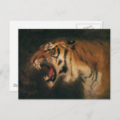 ヴィンテージベンガルタイガー大きな猫轟音、野生動物 ポストカード (正面/裏面)
