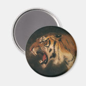 ヴィンテージベンガルタイガー大きな猫轟音、野生動物 マグネット (正面/裏面)