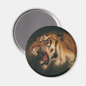 ヴィンテージベンガルタイガー大きな猫轟音、野生動物 マグネット (正面/裏面)