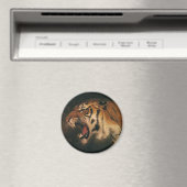 ヴィンテージベンガルタイガー大きな猫轟音、野生動物 マグネット (インサイチュ (食洗機))