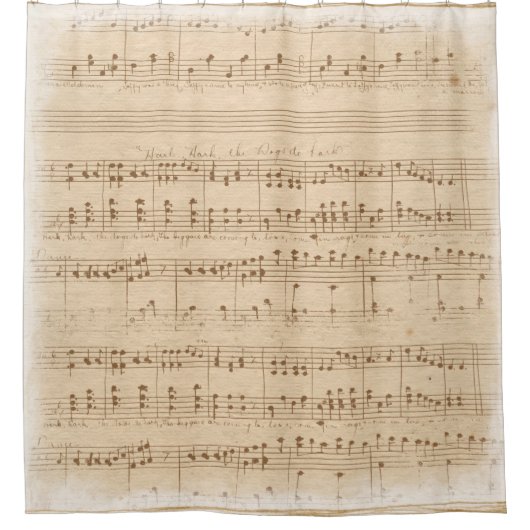 ヴィンテージベージュの音楽ノート シャワーカーテン (正面)