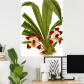 ヴィンテージペスカポショラムラン花 ポスター (ホームオフィス)