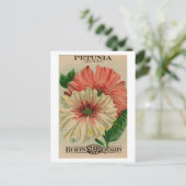 ヴィンテージペチュニアシードパケット葉書 ポストカード (スタンド正面)
