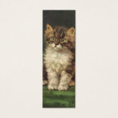 ヴィンテージペットかわいいストライプのタビーキャット (正面)