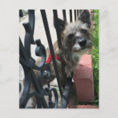 ヴィンテージペットロス悔やみや弔慰カード (裏面)