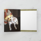 ヴィンテージペット損失の悔やみや弔慰カード カード (内部)