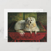 ヴィンテージペット、毛むくじゃらの牧羊犬の犬 ポストカード (正面/裏面)