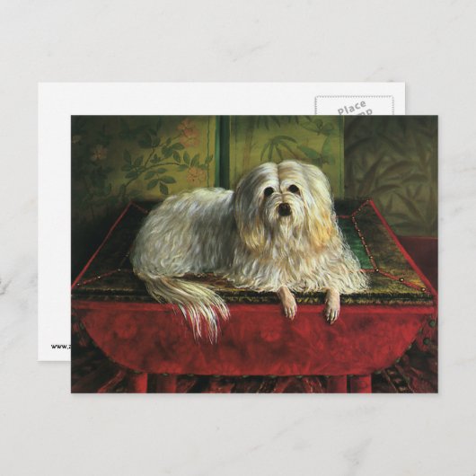ヴィンテージペット、毛むくじゃらの牧羊犬の犬 ポストカード (正面/裏面)