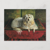 ヴィンテージペット、毛むくじゃらの牧羊犬の犬 ポストカード (正面)