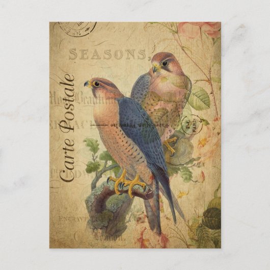 ヴィンテージペレグリン《鳥》ハヤブサの鳥のペアフランスの ポストカード (正面)