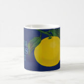 ヴィンテージホイップシトラスフルーツラベル コーヒーマグカップ (中央)