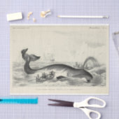 ヴィンテージホエールシップエフェメラデコパ航海のージ 薄葉紙 (クラフト)