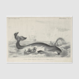 ヴィンテージホエールシップエフェメラデコパ航海のージ 薄葉紙