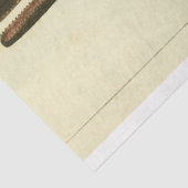 ヴィンテージホエールスクリプトEphemera Decompage 航海の 薄葉紙 (詳細)