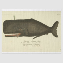 ヴィンテージホエールスクリプトEphemera Decompage 航海の 薄葉紙