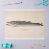 ヴィンテージホエールスクリプトEphemera Decompage 航海の 薄葉紙 (クラフト)