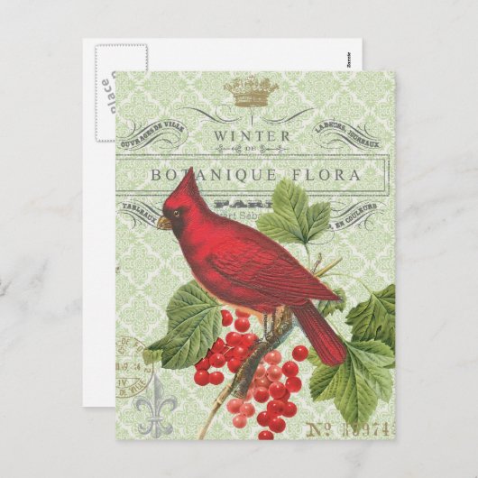 ヴィンテージホリデー – 冬の赤い(鳥)ショウジョウコウカンチョウ – 葉書 シーズンポストカード (正面/裏面)