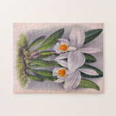 ヴィンテージホワイトオーキッズカトレヤヴィルギンリスリンデニア ジグソーパズル (横)