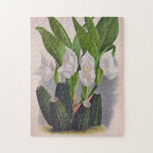 ヴィンテージホワイトオーキッドアングロアユニフローラリンデニア ジグソーパズル (縦)