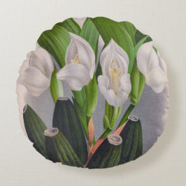 ヴィンテージホワイトオーキッドアングロアユニフローラリンデニア ラウンドクッション