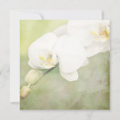 ヴィンテージホワイトオーキッド結婚式招待状 招待状 (裏面)