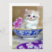 ヴィンテージホワイトキッテンイラストレーション 案内状 (正面/裏面)