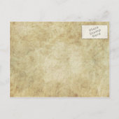 ヴィンテージホワイトクイーンアンズ・レースSave the Date 案内ポストカード (裏面)