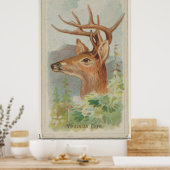 ヴィンテージホワイトテールディアーイラストレーション(1888) ポスター (キッチン)