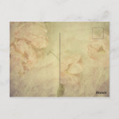 ヴィンテージホワイトドーヴシャビーシック葉書 ポストカード (裏面)