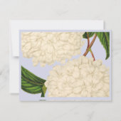 ヴィンテージホワイトハイドランジパーソナライズされたアノートカード 招待状 (裏面)