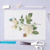 ヴィンテージホワイトバラ#1蝶の花フローラ 薄葉紙 (クラフト)