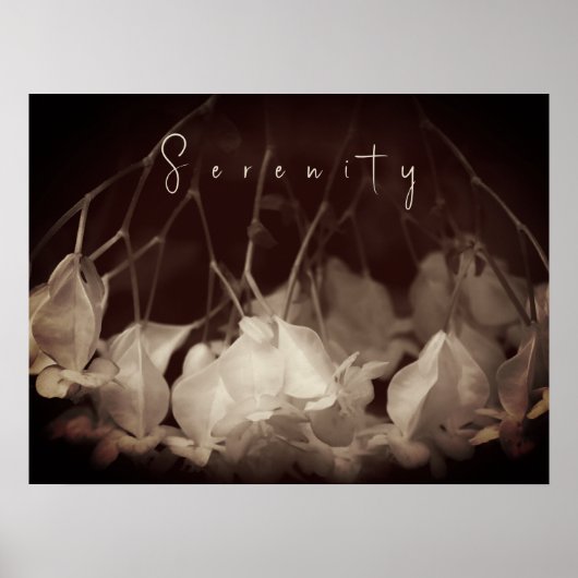 ヴィンテージホワイトフローラポスター ポスター (正面)