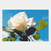 ヴィンテージホワイトローズブルー ラッピングペーパーシート (正面2)