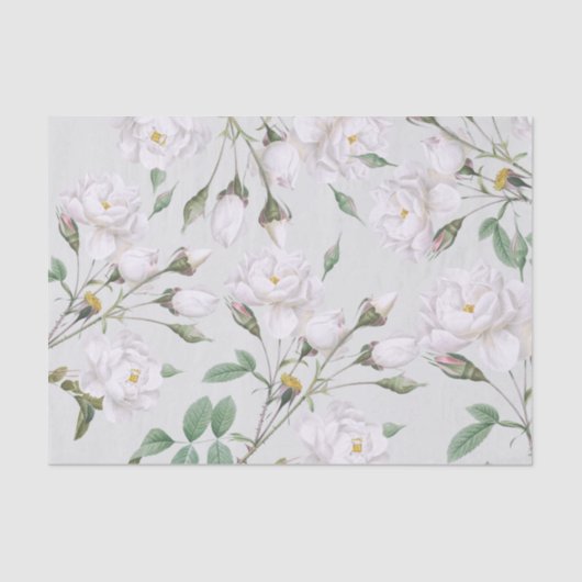 ヴィンテージホワイトローズ 薄葉紙 (正面)