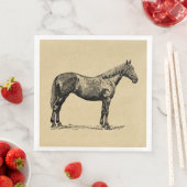 ヴィンテージホースアート図解入りの、写真付きの馬術芸術 (インサイチュ)