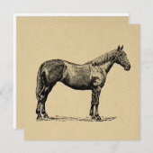 ヴィンテージホースアート図解入りの、写真付きの馬術芸術 シーズンカード (正面/裏面)